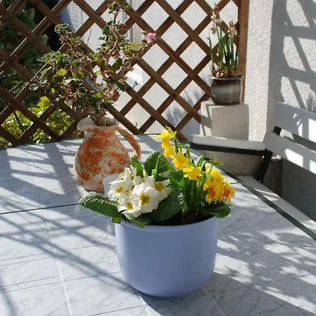 Hilgenfeld * Bad Eisenkappel